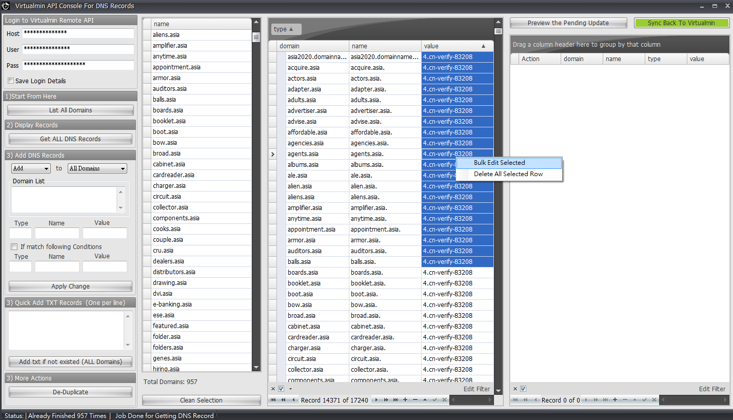 Virtualmin API to Update DNS Records 